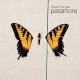 Paramore - Feeling Sorry