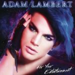 album image For Your Entertainment (Remix) For Your Entertainment