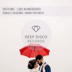 album image Love In Undercover (Nando Fortunato Remix) Love in Undercover - Single