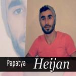 album image Papatya Papatya (feat. Mavzer) - Single