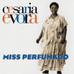 album image Angola Miss Perfumado