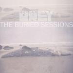 album image Love The Way You Lie The Buried Sessions of Skylar Grey - Single