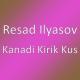 Resad Ilyasov - Kanadi Kirik Kus 2020