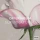 Offer Nissim feat. Eden Fines - I Love To Love