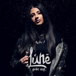 album image Lune - gebe auf. (prod. by Bounce Brothas) gebe auf. - Single