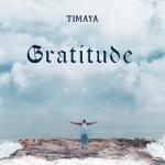 album image Drop It Baby (Martik C Rmx Instrumental) Gratitude