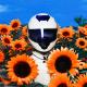 Whethan feat. The Knocks - Sunshine (with The Knocks)