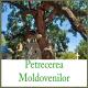 Неизвестен - muzica moldoveneasca - frumoasa mea