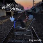 album image 2.9 Miles Away Melatonin Dreams