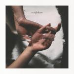 album image Weightless (Original Mix) Weightless - Single