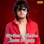 album image Ishq Hai Kya (From "Hum Ho Gaye Aap Ke") My Best Collection - Sonu Nigam