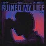 album image Ruined My Life Ruined My Life - Single