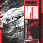 album image Rapture Rapture - Single