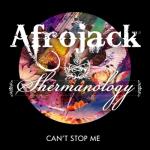 album image Can't Stop Me Now (Original Club Mix) Can't Stop Me (Club Mix) - Single