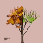 album image Осень Осень - Single