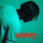 album image Sorry Sorry - Single