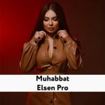 album image Elsen Pro- Muhabbat (Remix 2022)