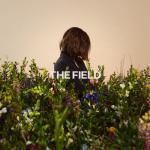 album image Gravity The Field