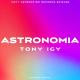 DJ Nikon & Tony Igy-Astronomia (DJ Nikon Remix) - Без названия