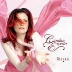album image Sensizlik Melek