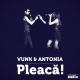Vunk feat. Antonia - Pleacă