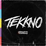 album image Fuckboi (feat. Conquer Divide) TEKKNO