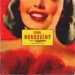 album image Nerdesin Nerdesin - Single