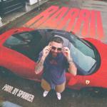 album image RARRI RARRii - Single