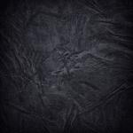 album image Камерун Чёрный - EP