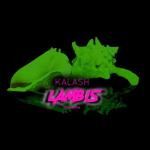 album image LAMBIS (Prod by DJ DIGITAL) Lambis - Single
