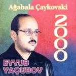 album image Kişidi Bu Ağabala Çaykovski