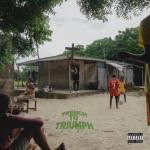 album image Ngozi Trench to Triumph