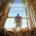 album image Rudimental - These Days feat. Jess Glynne, Macklemore & Dan Caplen These Days (feat. Jess Glynne, Macklemore & Dan Caplen)