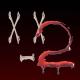 dj trippie flameboy - x_x 2