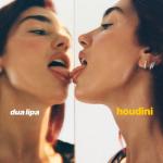 album image Houdini (DJ Smell Remix) Houdini - Single