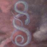 album image medusa Medusa - Single