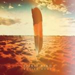 poster Follow The Sun Spirit Bird