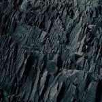 album image Tainted (Music Video) Ghost of You