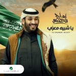 album image Ya Shabeeh Maazy Ya Shabeeh Maazy
