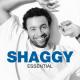 Shaggy - Boombastic (Original Mix)