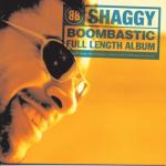 album image Boombastic (Original Mix) Essential