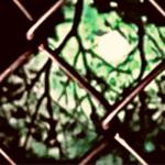album image wutiwant (Tik-Tok Slowed) wutiwant (Sped Up & Slowed Versions)