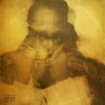album image Face in the Pillow