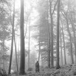 album image epiphany folklore (deluxe version)
