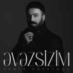 poster Evezsizim Əvəzsizim
