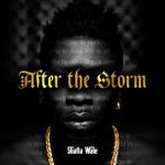 album image Hol' It After the Storm