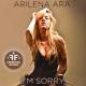 Arilena Ara - I'm Sorry [Short Lyrics] Gon Haziri & Bess Remix