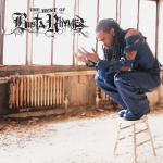 album image turn it up fire it up (instrumental) The Best of Busta Rhymes