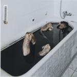 album image Родители мои золотые