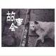 에픽하이 - Алое сердце